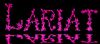 Lariat