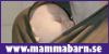 MammaBarn