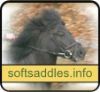 Soft Saddles