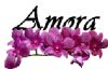 Amora